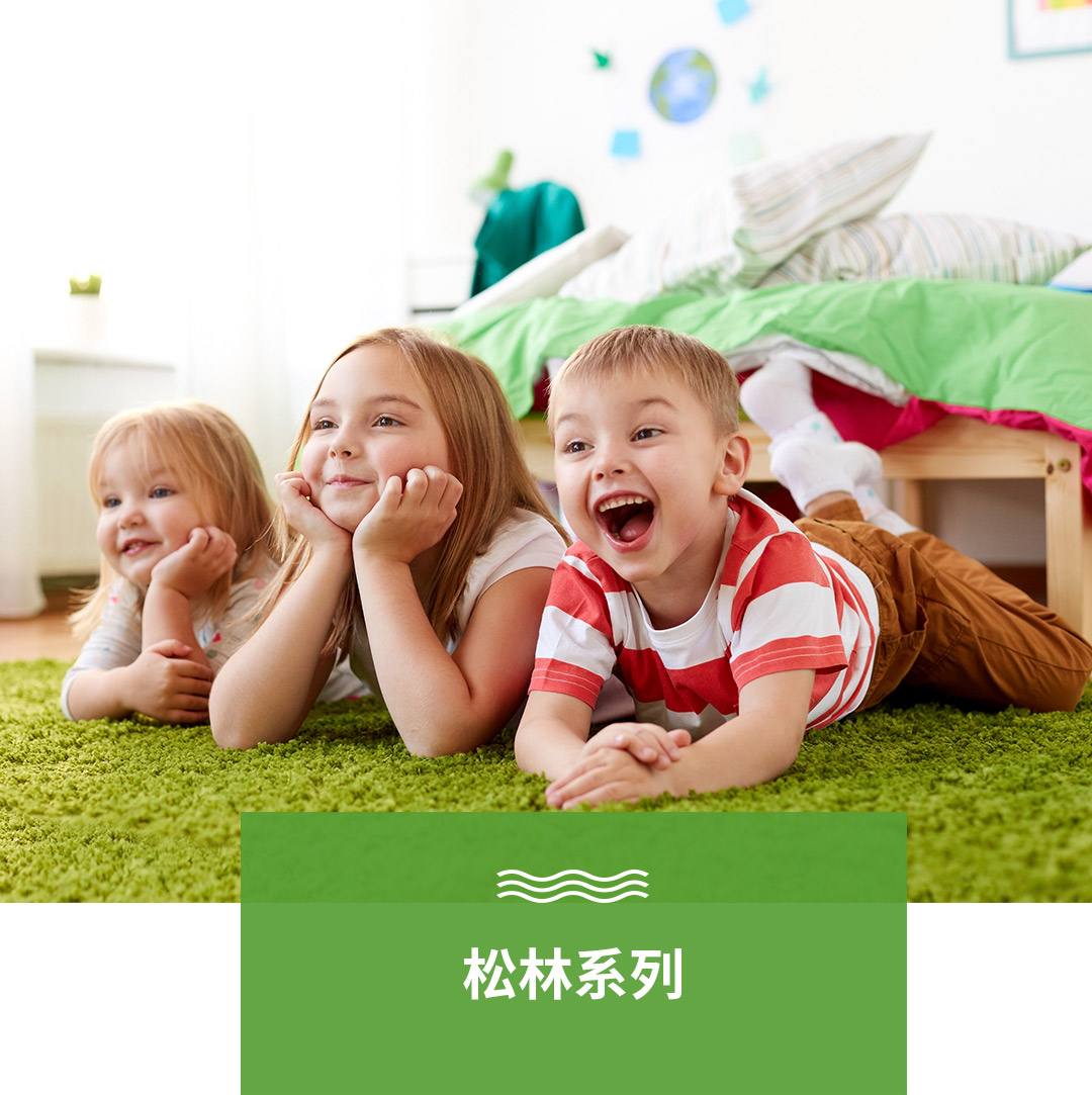 人字拼SX2系列.jpg
