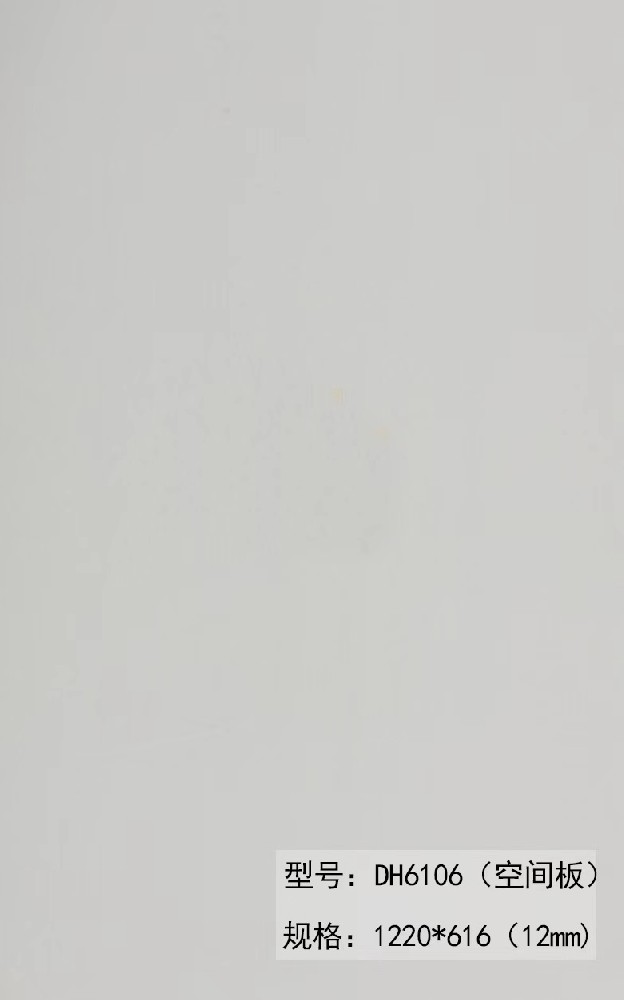 DH6106.jpg