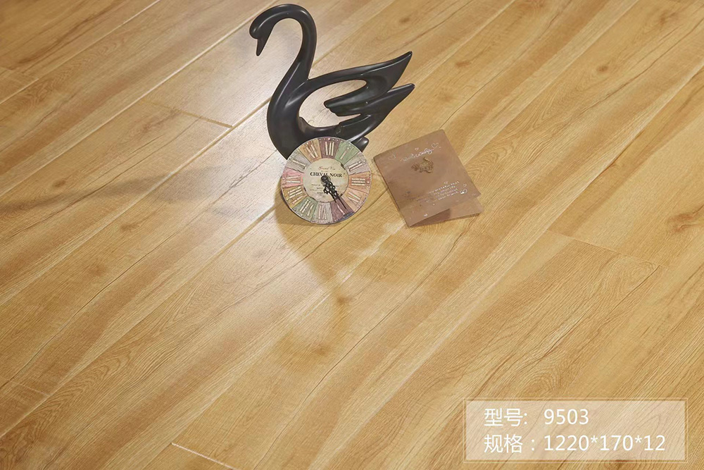 9503.jpg