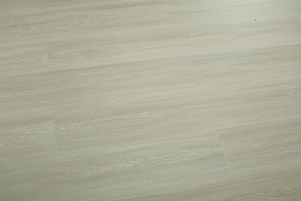 SL1126-2.jpg