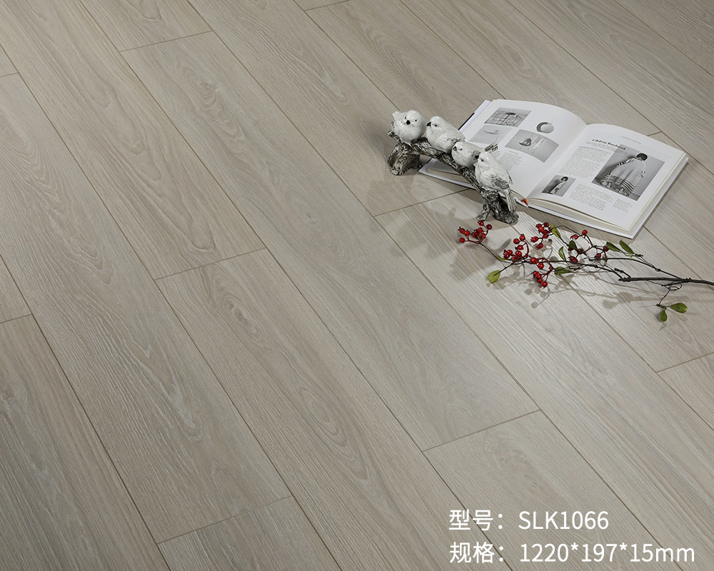 SLK1066-3.jpg