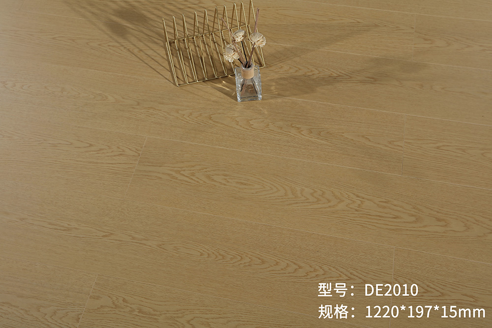 DE2010-5s.jpg